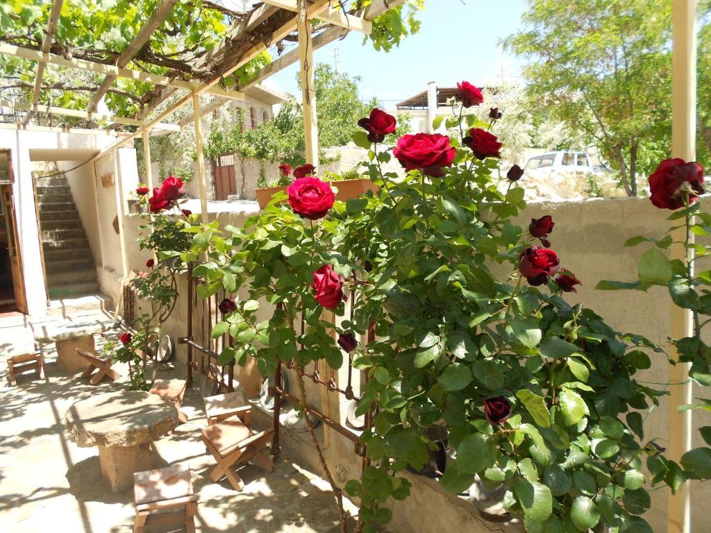 Valleypark Hotel Nevşehir Esterno foto